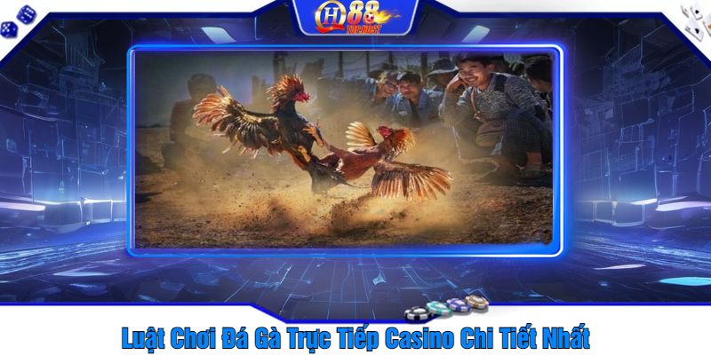 Luật Chơi Đá Gà Trực Tiếp Casino Chi Tiết Nhất