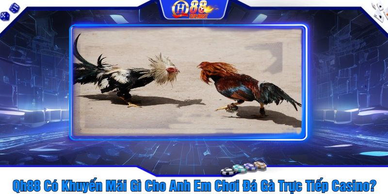 Qh88 Có Khuyến Mãi Gì Cho Anh Em Chơi Đá Gà Trực Tiếp Casino?